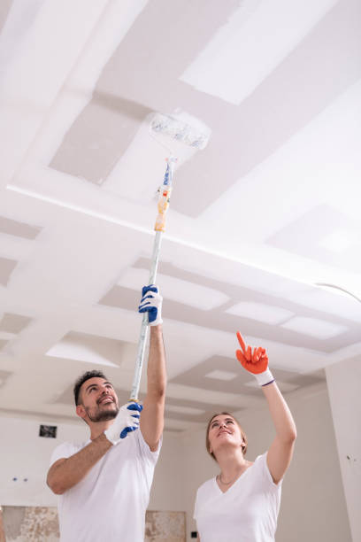 Best Ceiling Drywall Installation  in Wytheville, VA